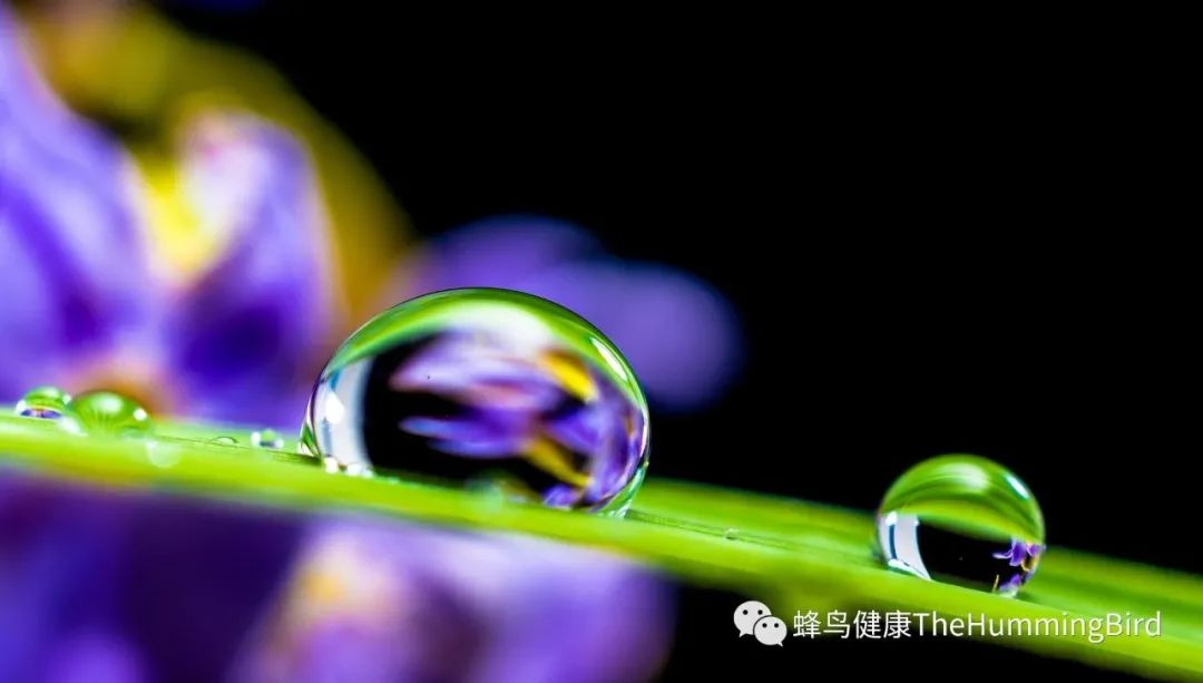 关于草本和营养补充剂(我是否需要补充剂,如何选择?)