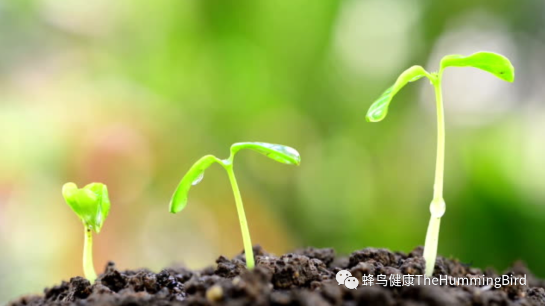 关于草本和营养补充剂(我是否需要补充剂,如何选择?)