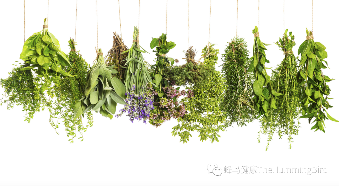 关于草本和营养补充剂(我是否需要补充剂,如何选择?)