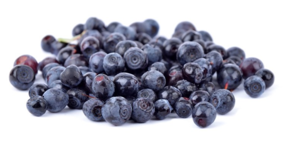 生命力最强的食物 – 野生蓝莓