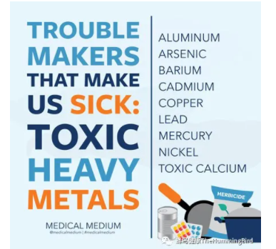 【视频】有毒重金属对情绪和健康的巨大影响 How Toxic Heavy Metals Affect Us?