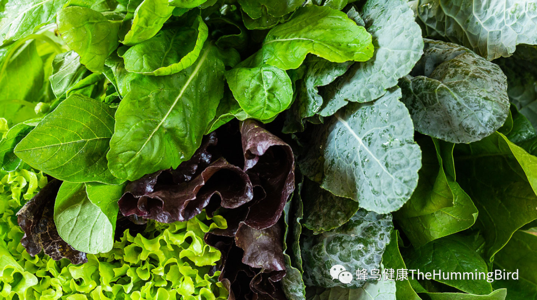 最佳蛋白质来源-绿叶蔬菜