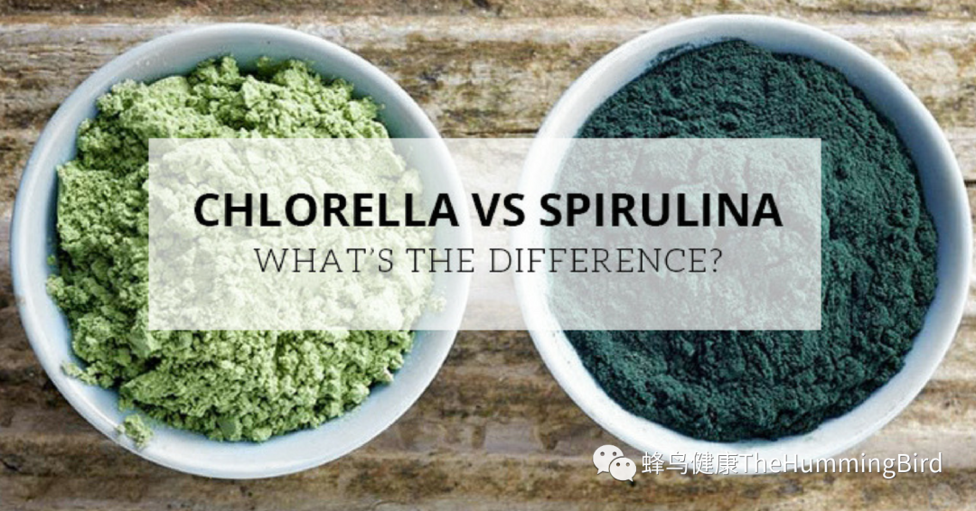 健康陷阱（31） 小球藻（重金属排毒的错误选择） Health Trap (31）Chlorella 安疗网