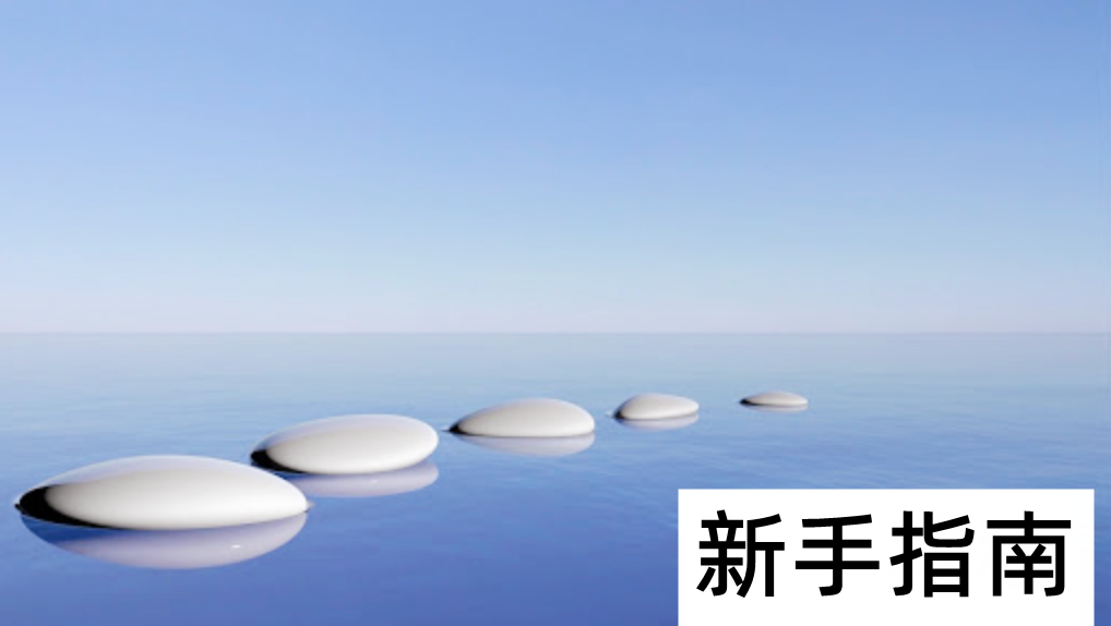 新手指南