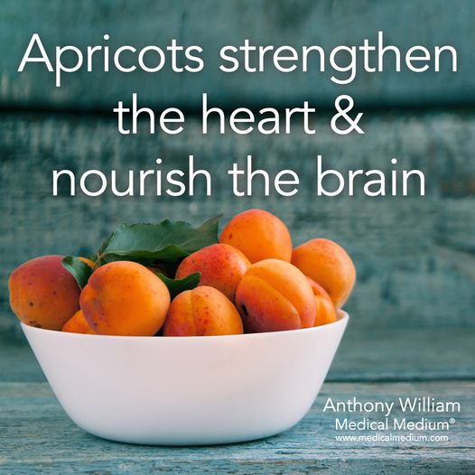 杏：强心补脑 Apricots strengthen the heart＆nourish the brain