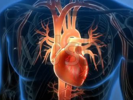 【实践者分享】各类心脏和心血管问题