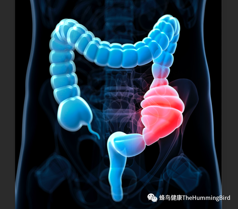 便秘的原因和疗愈【含视频】