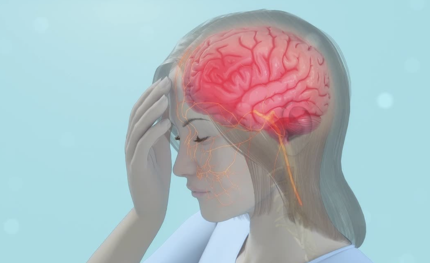 【摘要速查】神经系统问题（癫痫、肩周炎、（偏）头痛、晕车、帕金森）