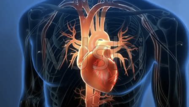 【摘要速查】心血管（心脏病、心肌炎、心悸、异位心跳、高低血压、雷诺、中风、静脉曲张蜘蛛静脉