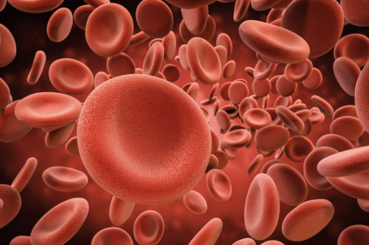 【摘要速查】- 血液疾病、贫血、血液凝块血栓、血色素沉着（铁指标）、低血小板、低白细胞