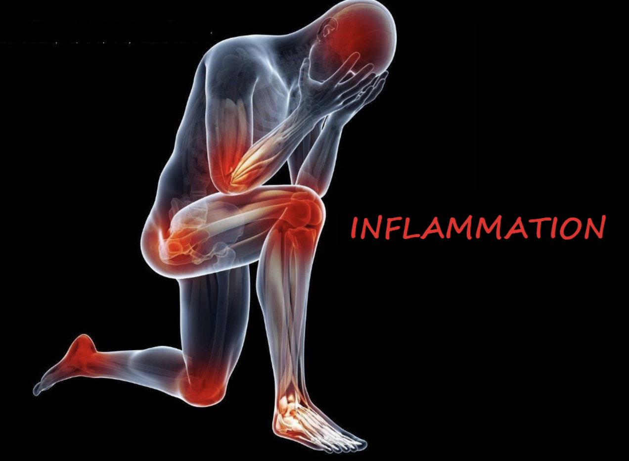 inflammation 4.png