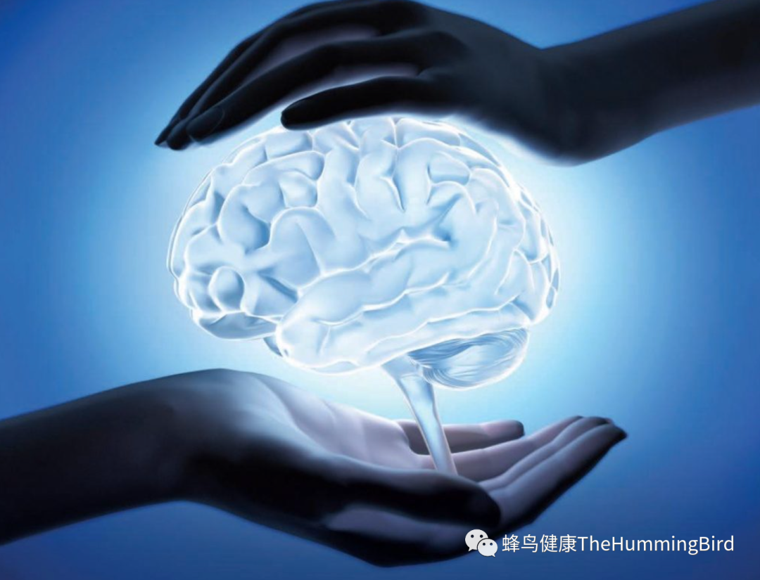 大脑小饮净化法