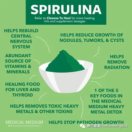 螺旋藻：大脑和身体强化剂 Spirulina: Brain＆Body Strengthener