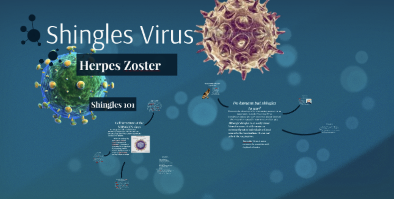 shingles virus 2.png