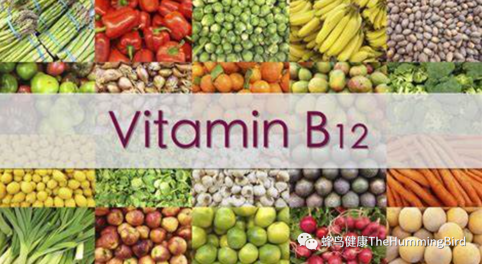 维生素B12 （只有素食主义者才需要补充B12 吗？）