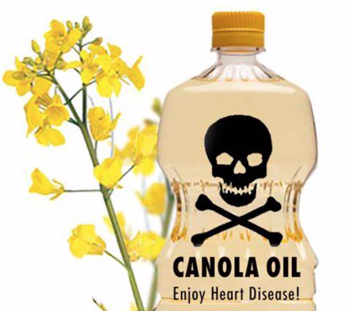 canola oil 2.png