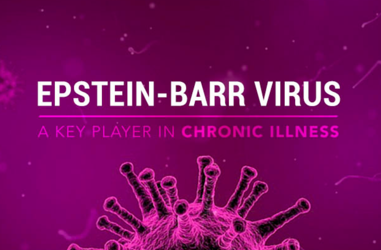 eb virus 3.png