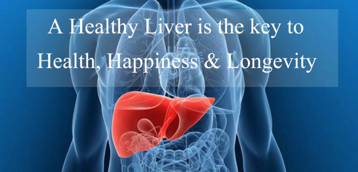 a healthy liver is key to health longetivty.png