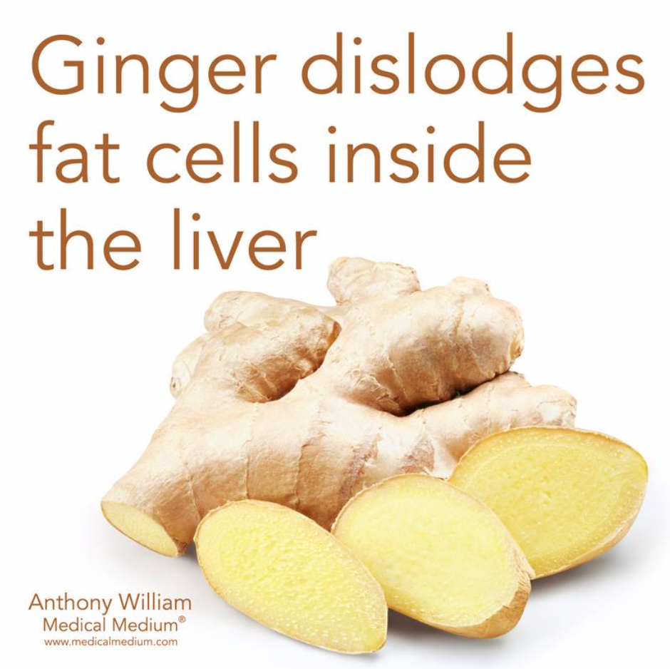 ginger fat cell.png