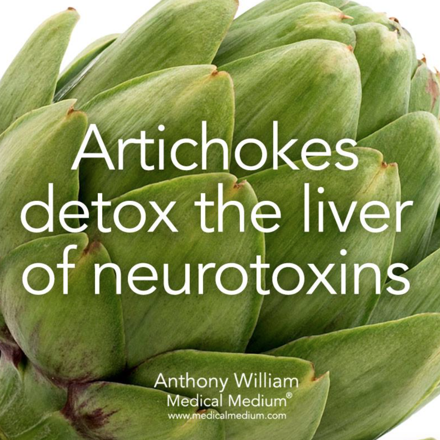 artichoke detox liver.png