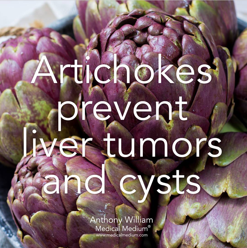 artichoke tumor cysts.png