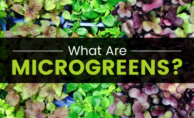 microgreens.png