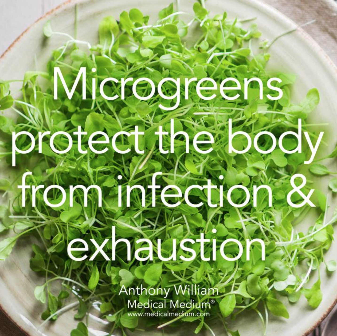 microgreen infection.png