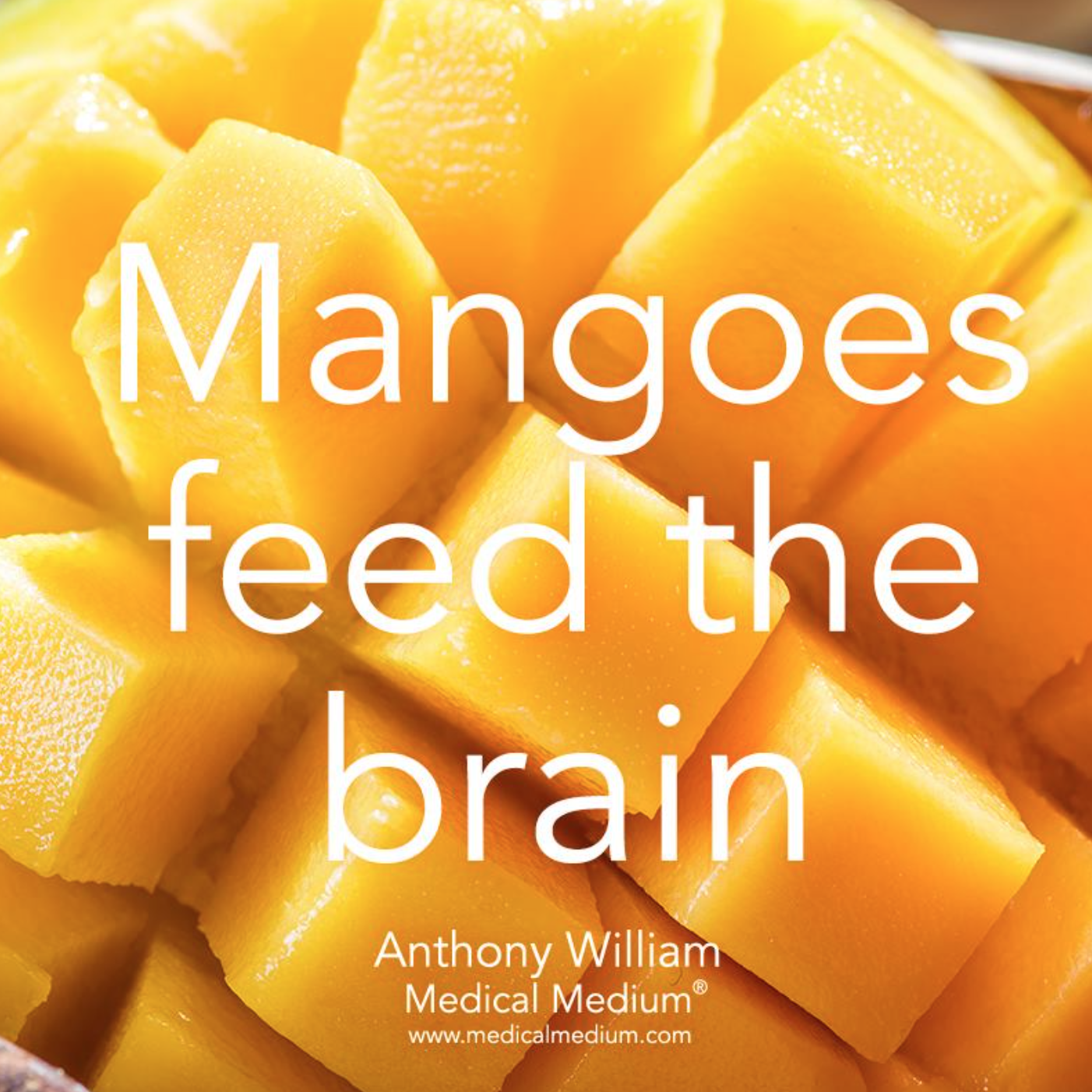 mango brain.png