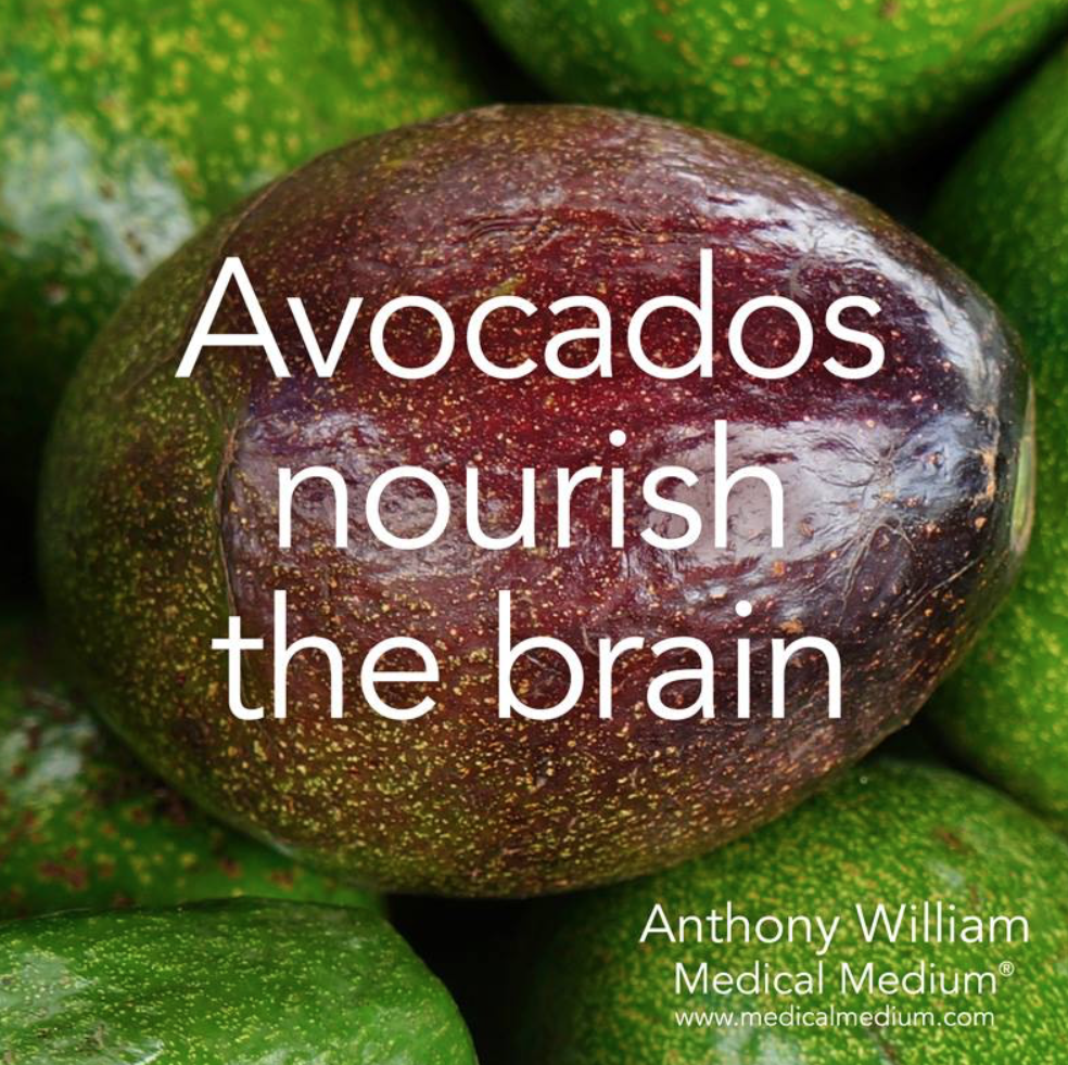 avocado brain.png