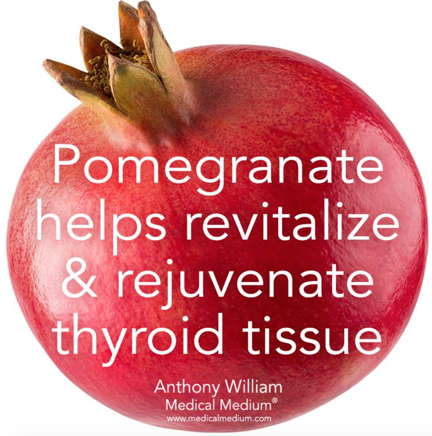 pomegranate thyroid tissue.png