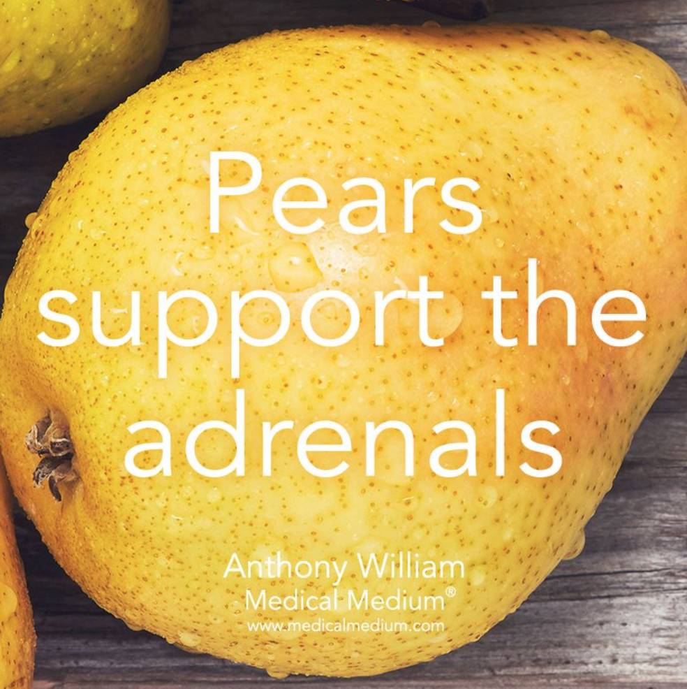 pear adrenal.png