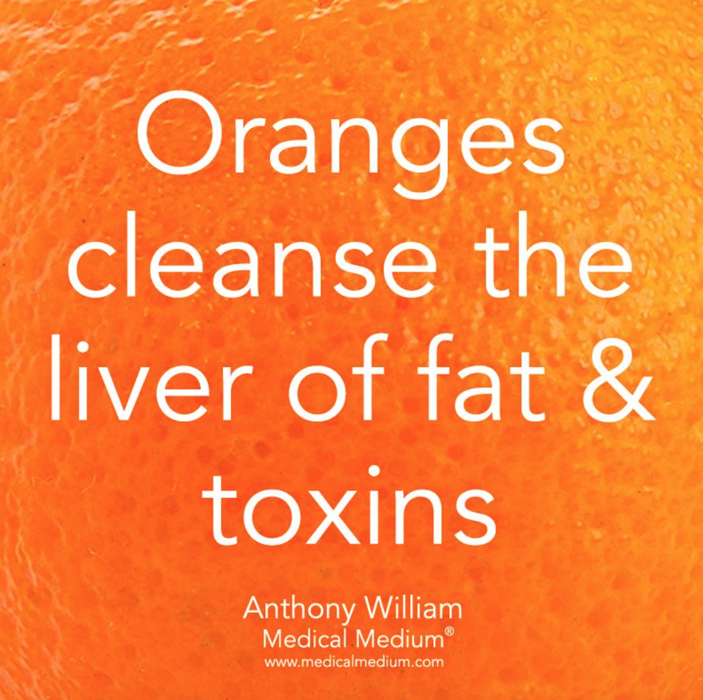 液体阳光 – 橙子和柑橘