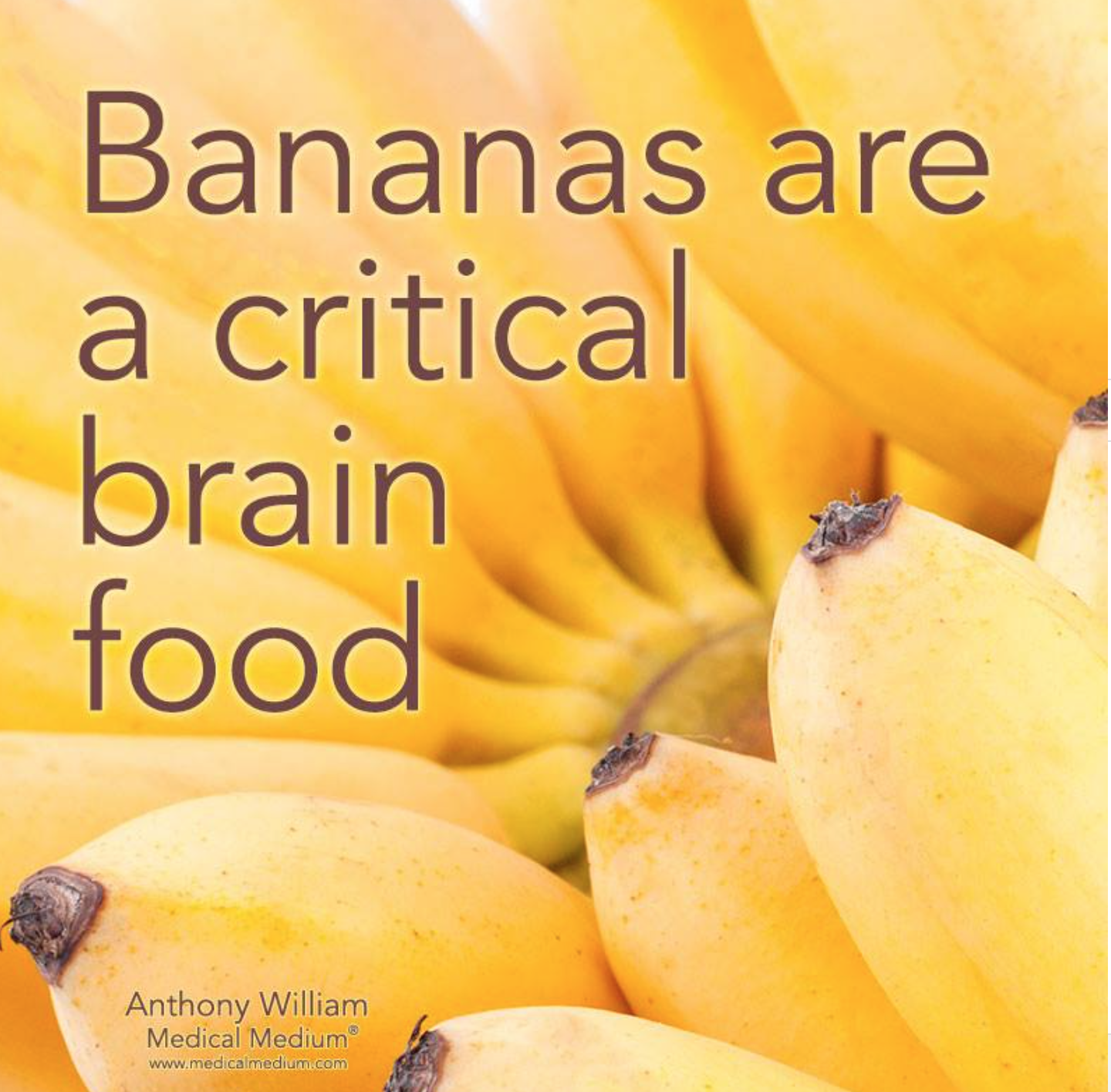 Bananas are a critical brain food.png