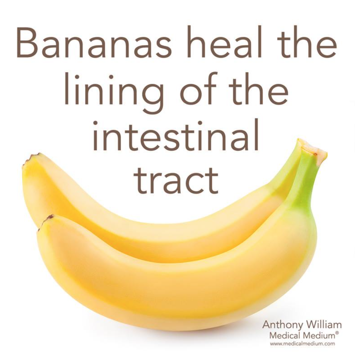 大脑和消化道健康的最佳食物 – 香蕉
