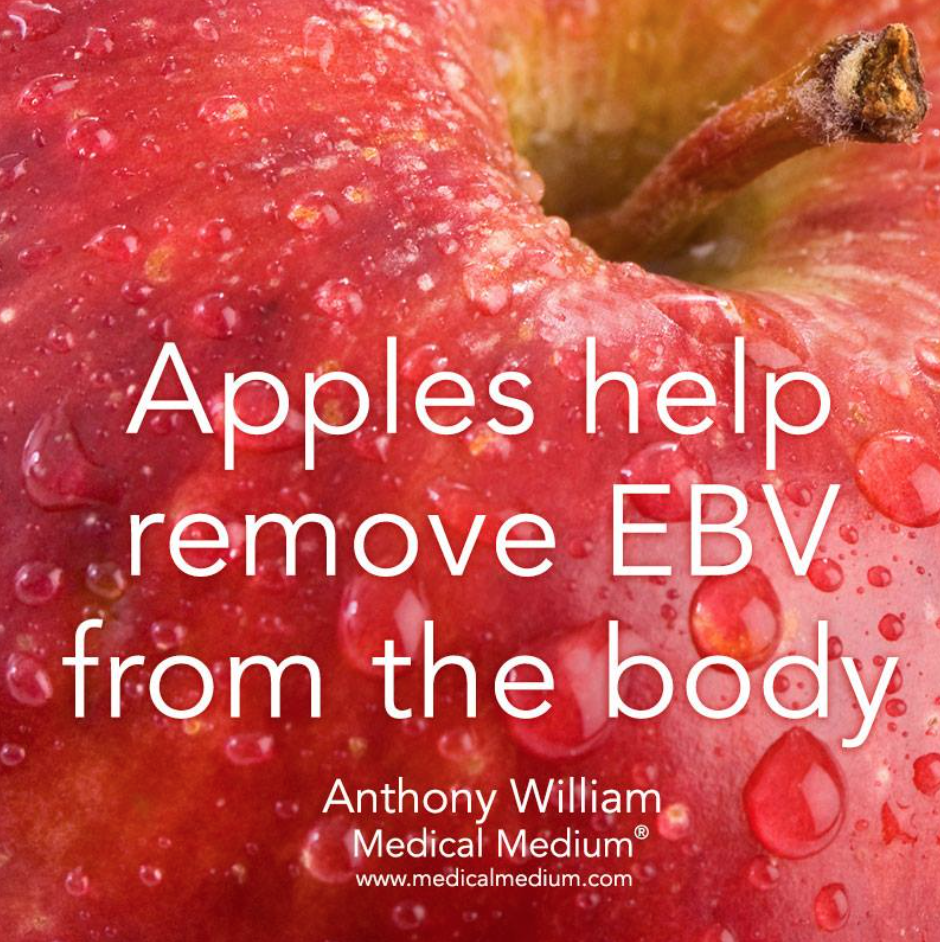 apple EBV 2.png