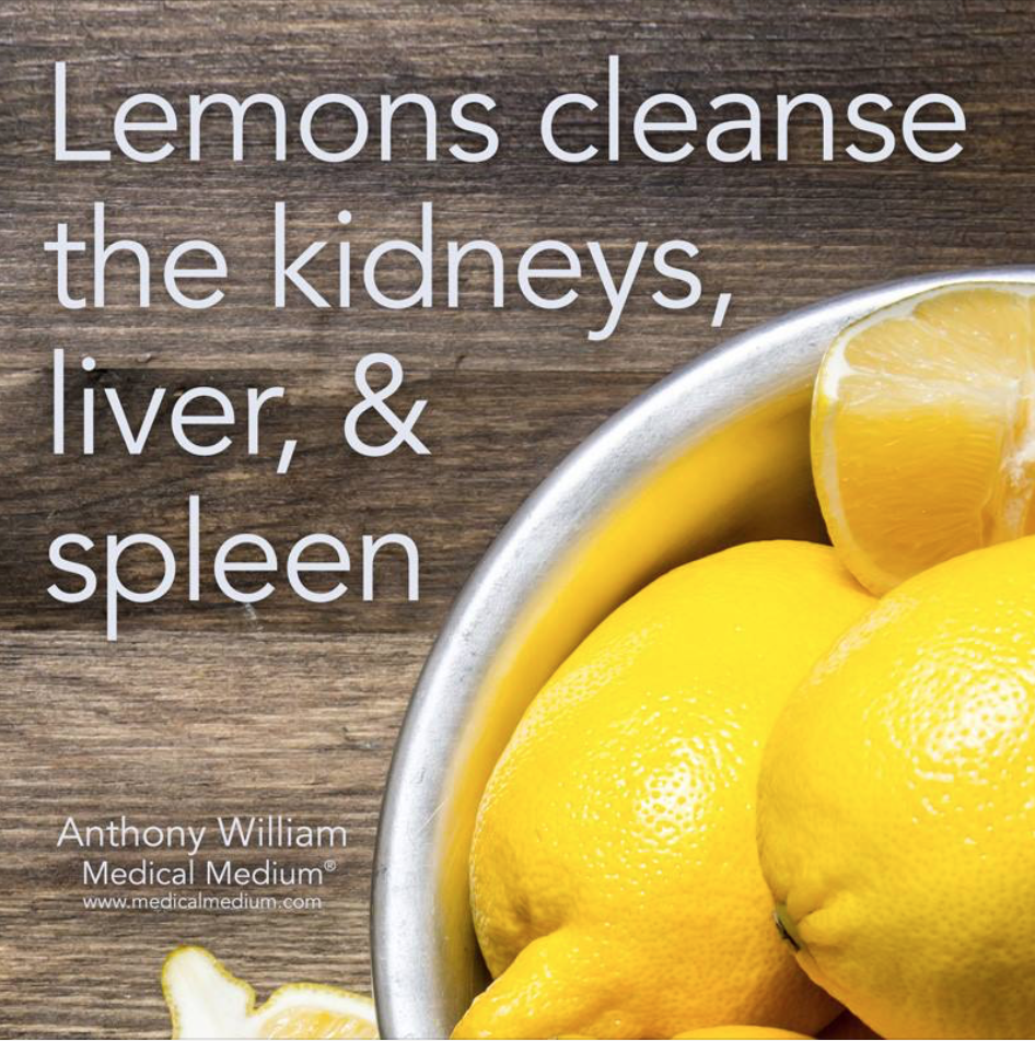 lemon kidney.png