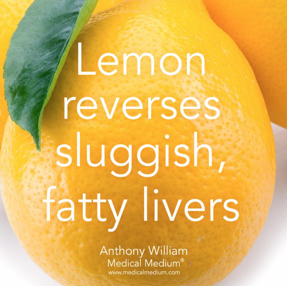 lemon sluggish liver.png