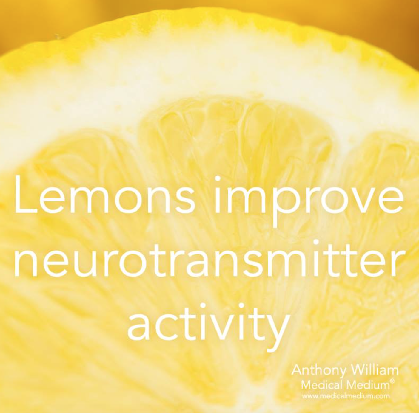 lemon neurotransmitter.png