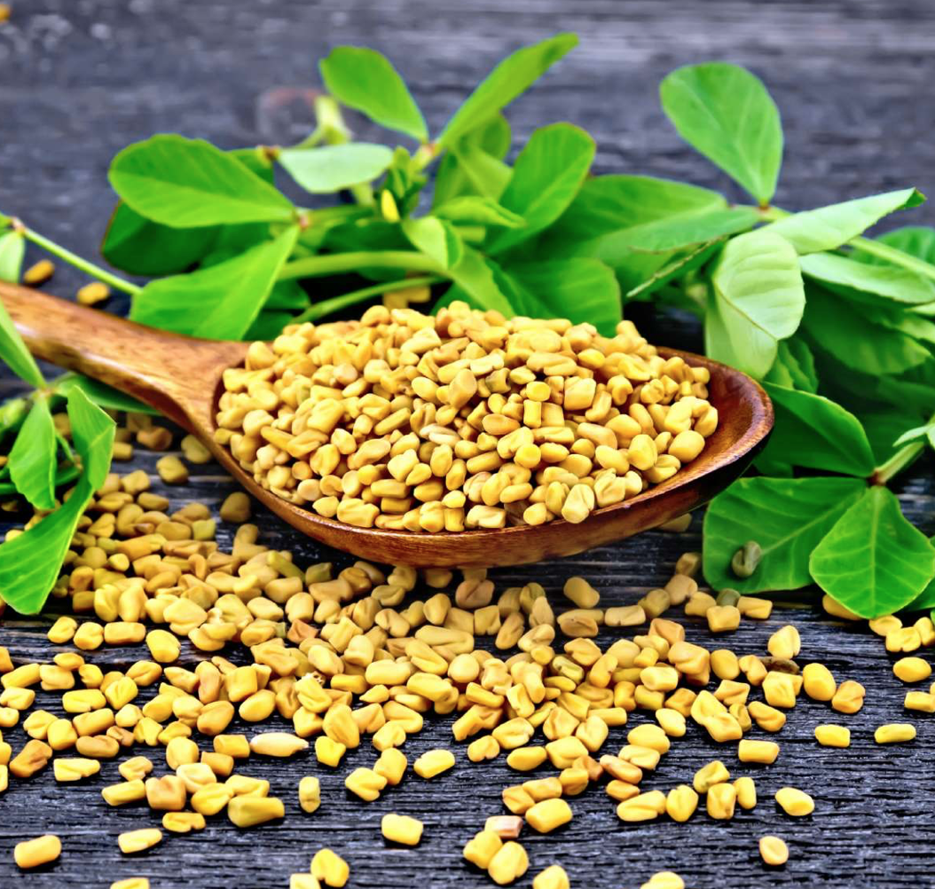 fenugreek.png