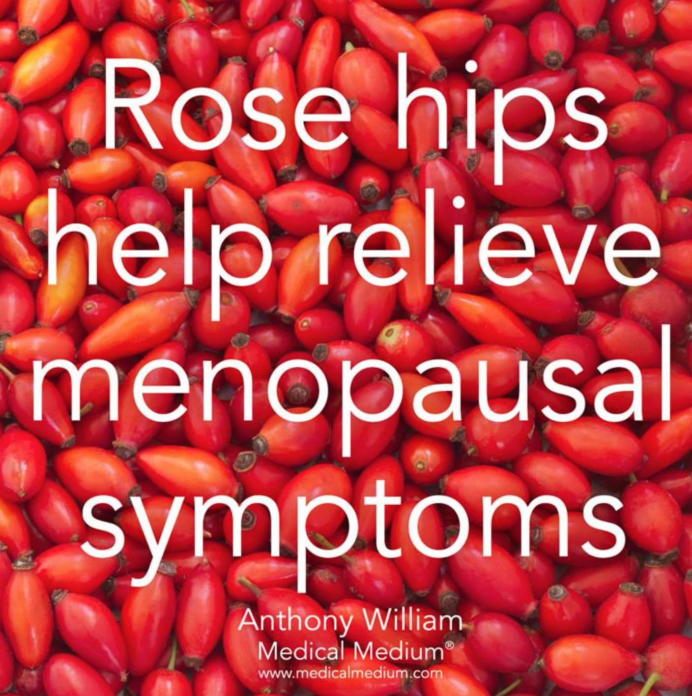 rosehips menopause.png