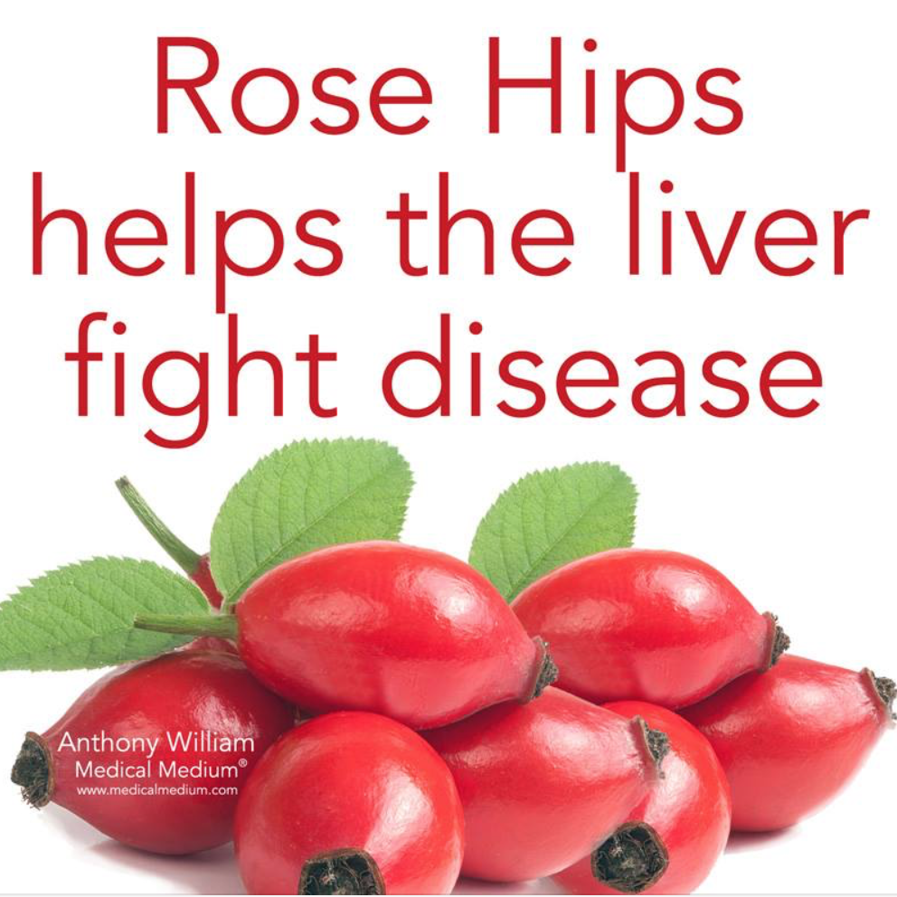 rose hip liver.png