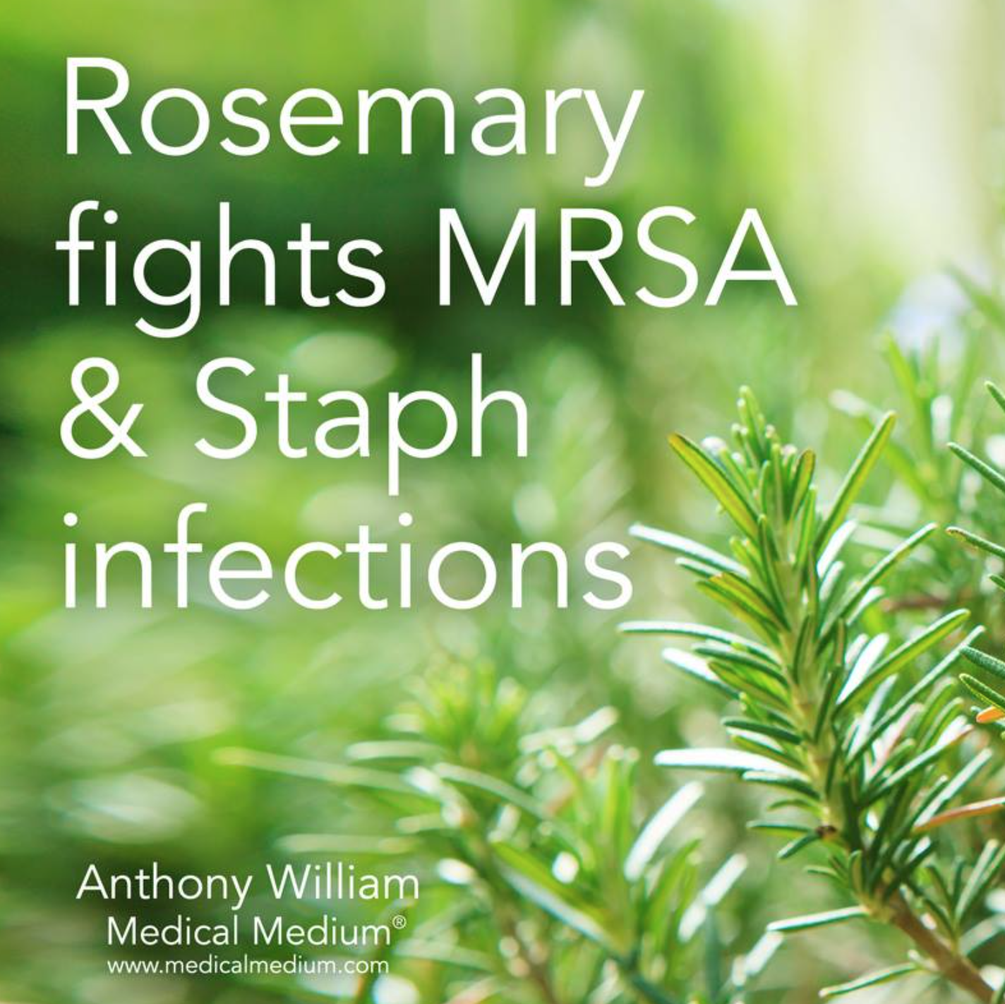 rosemary MRSA.png