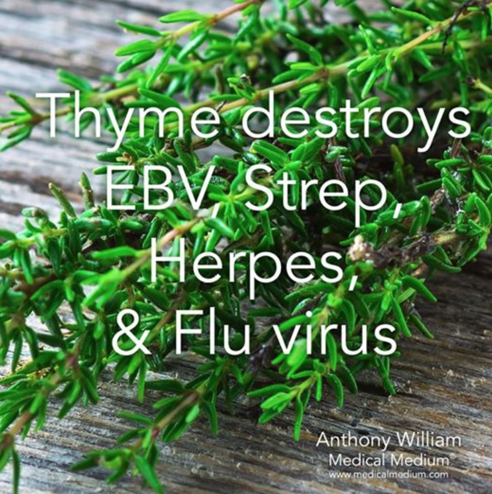 thyme virus.png