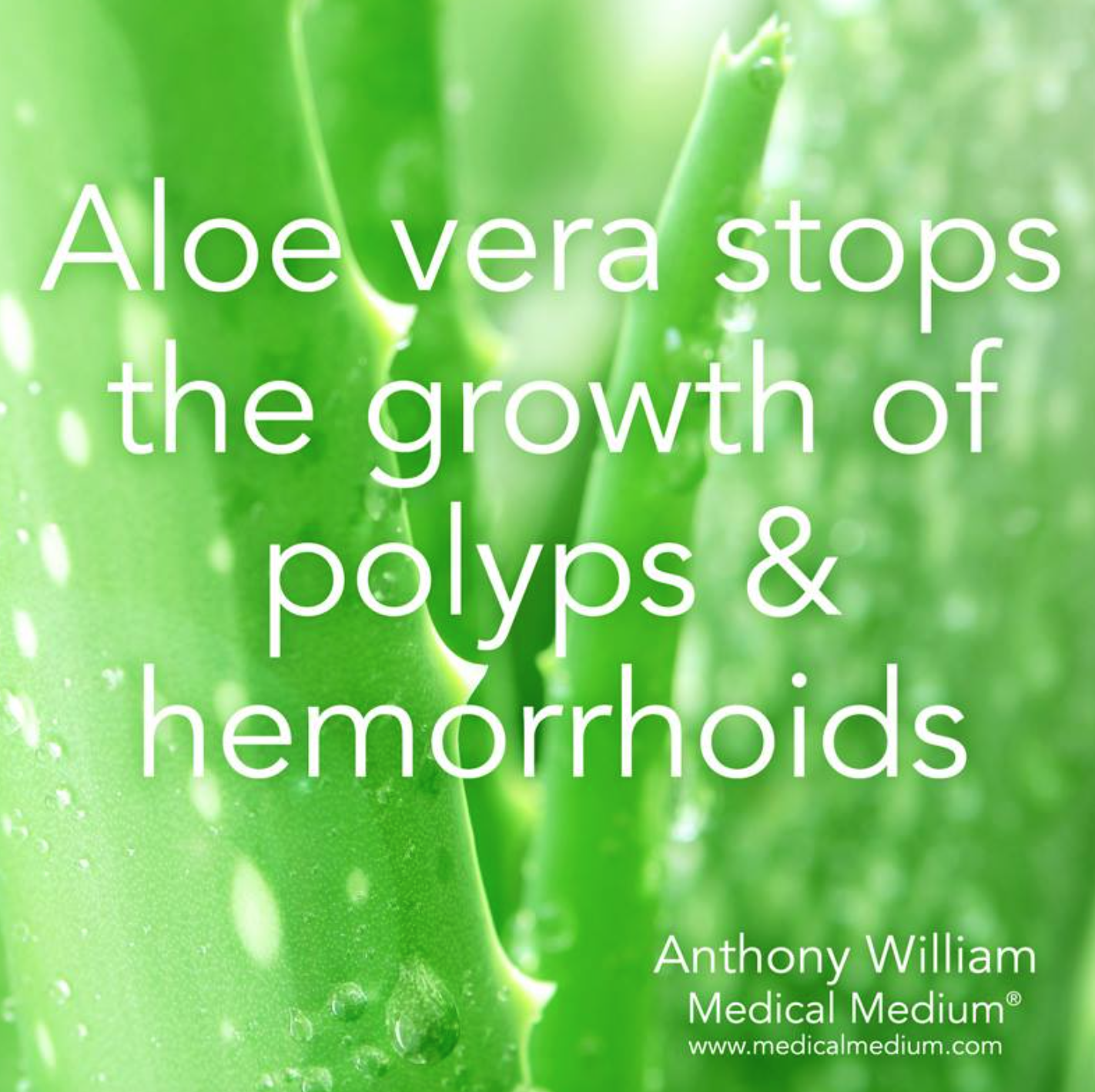 aloe vera polyps.png