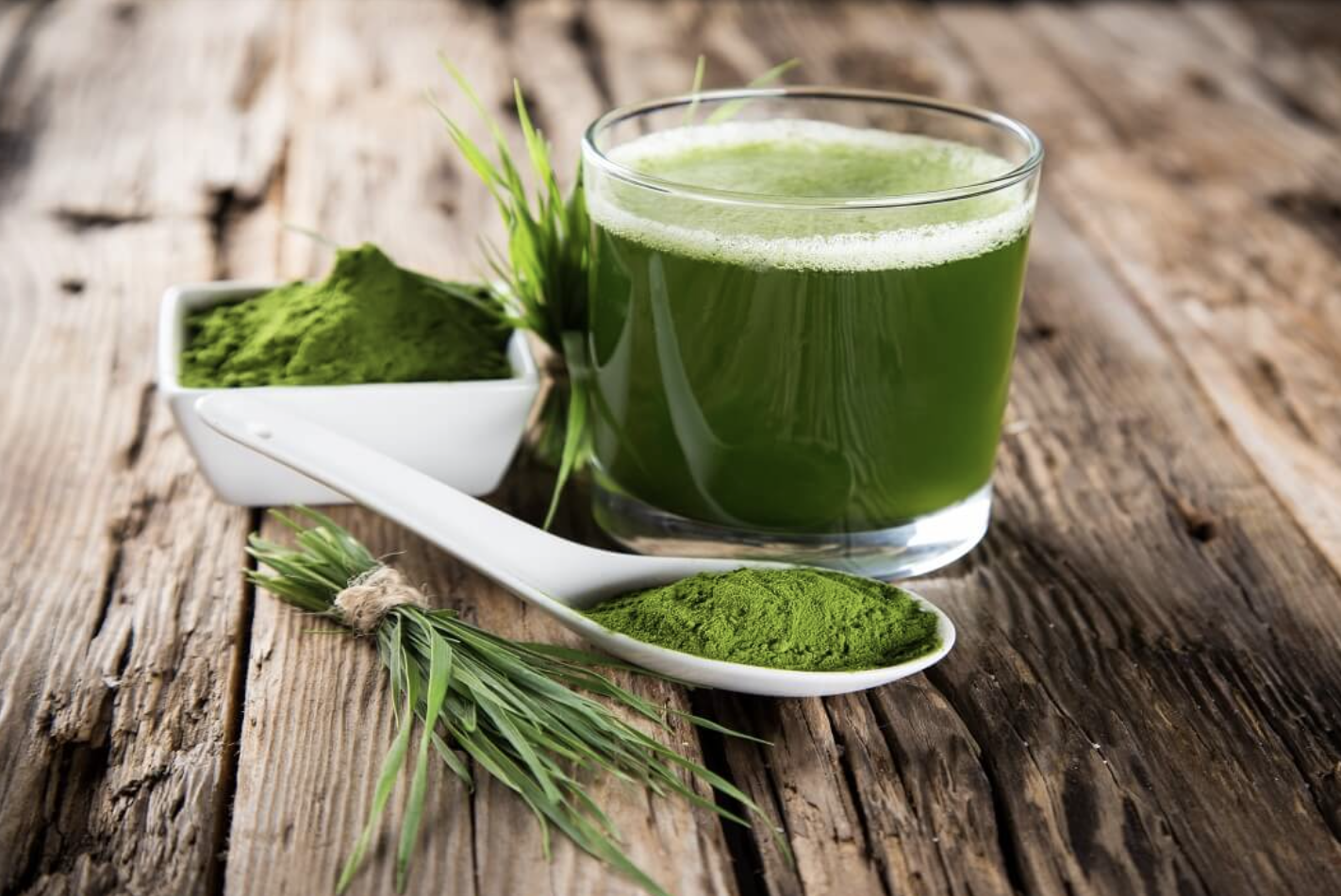 barley grass juice powder.png