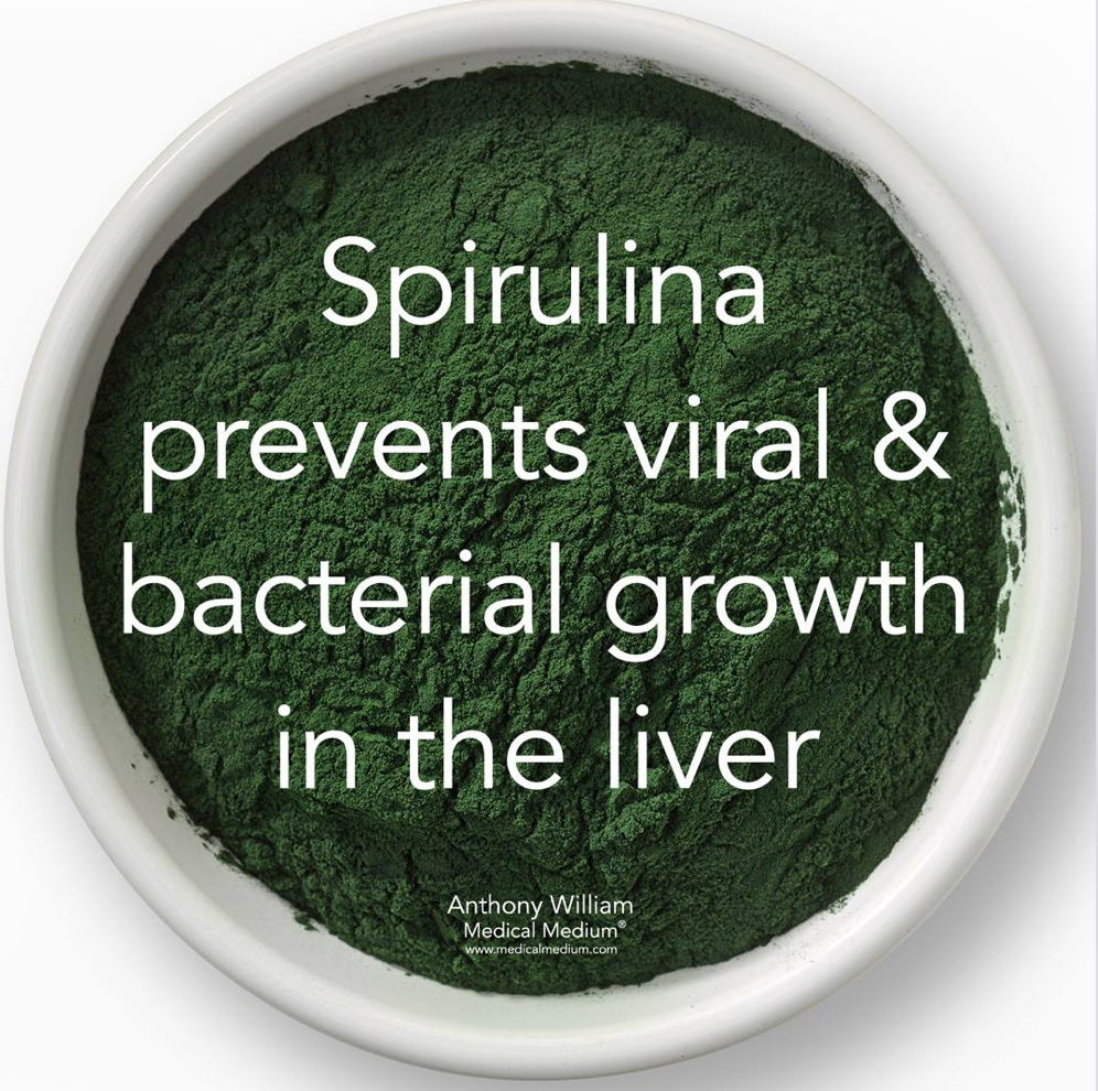 spirulina bacteria.png