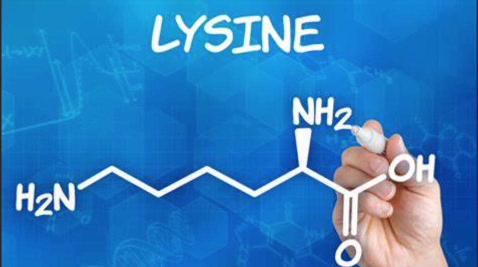 lysine.png