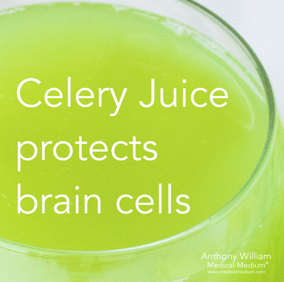 celery juice brain.png