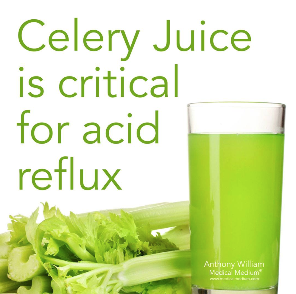 西芹汁如何帮助疗愈酸反流 How Celery Juice Helps Heal Acid Reflux