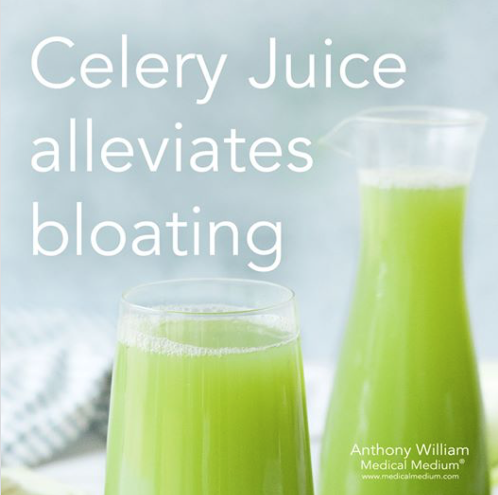 西芹汁如何帮助疗愈腹胀（气） How Celery Juice Helps Heal Bloating